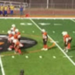 Meet your Posher, Brady